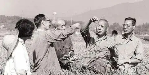 首页-suncitygroup太阳集团官方网站