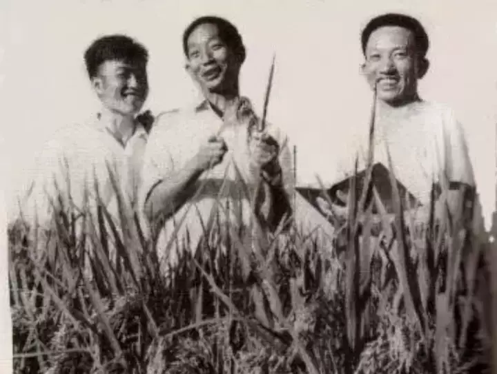首页-suncitygroup太阳集团官方网站